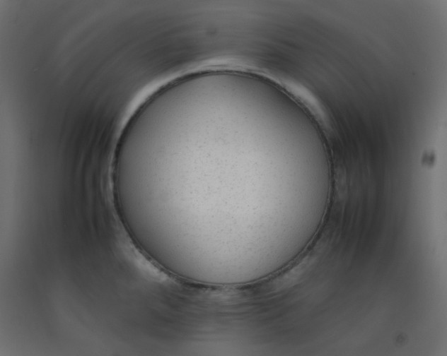 X0000092281288200710121356