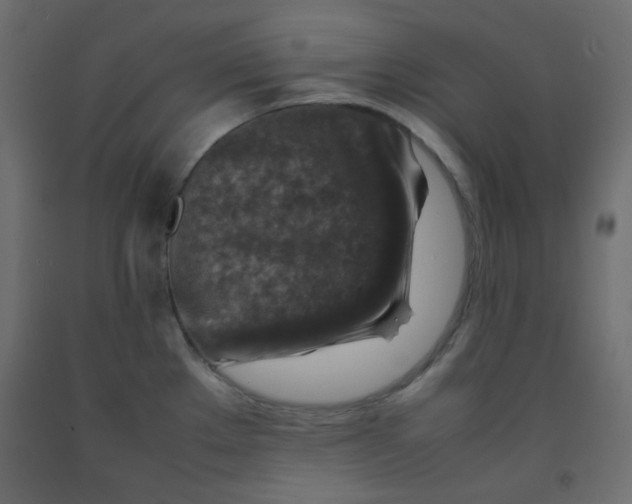 X0000092281289200710121356