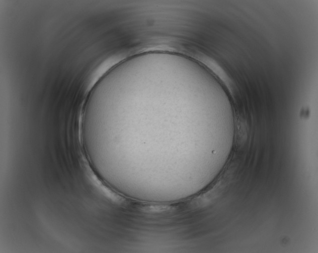 X0000092281290200710121356