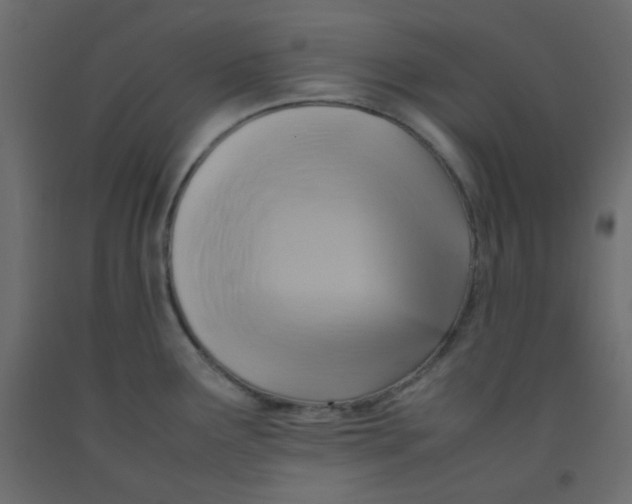 X0000092281291200710121356