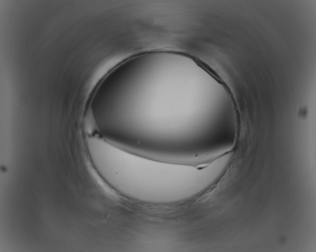 X0000092281293200710121356