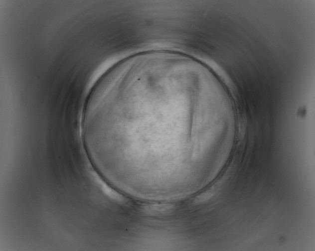 X0000092281294200710121356