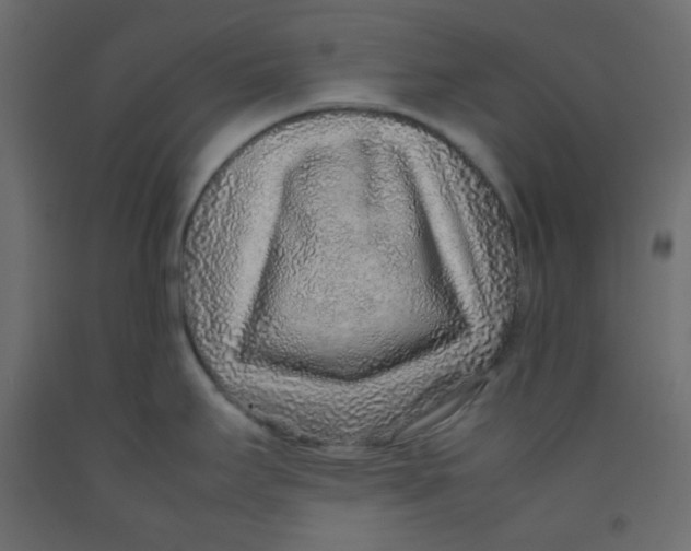 X0000092281295200710121356