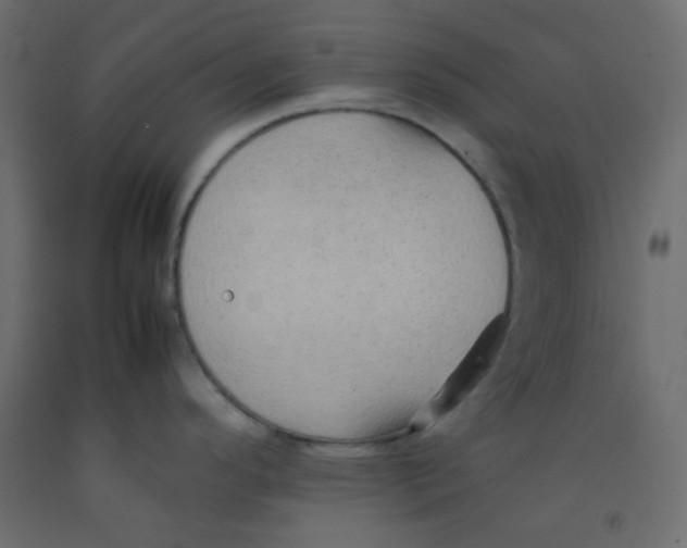 X0000092281296200710121356