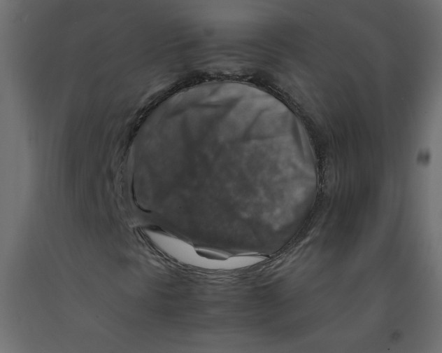 X0000092281297200710121356