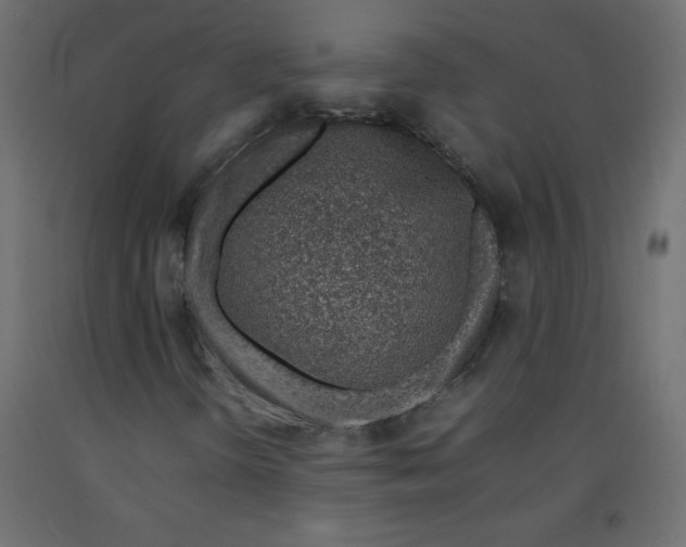 X0000092281298200710121356