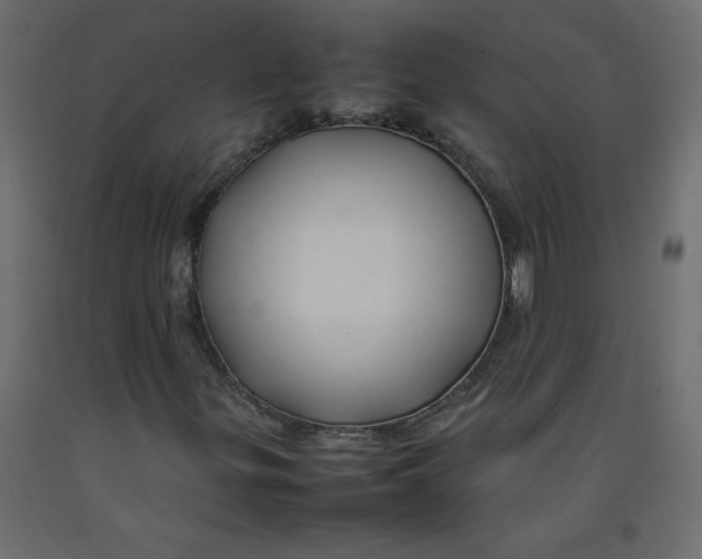X0000092281299200710121356