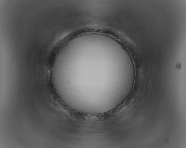 X0000092281302200710121356