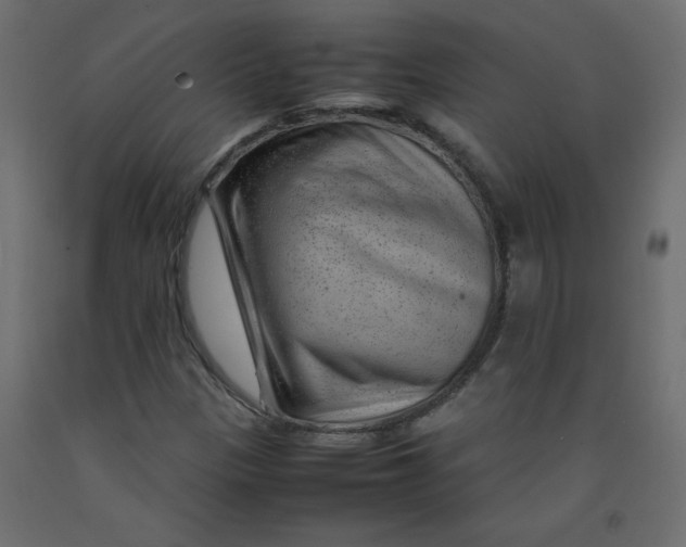 X0000092281305200710121356