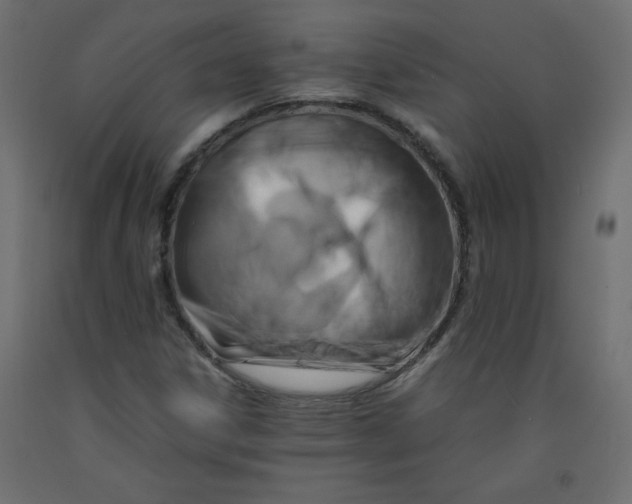 X0000092281306200710121356