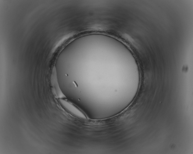 X0000092281307200710121356