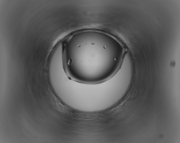 X0000092281308200710121356