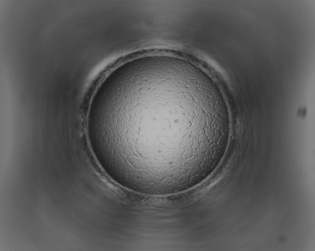 X0000092281310200710121356