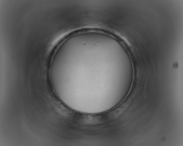 X0000092281311200710121356