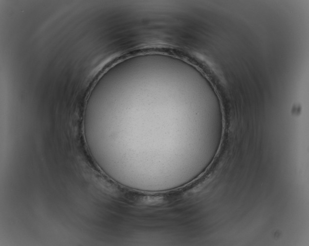 X0000092281313200710121356