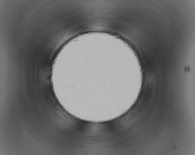 X0000092281314200710121356