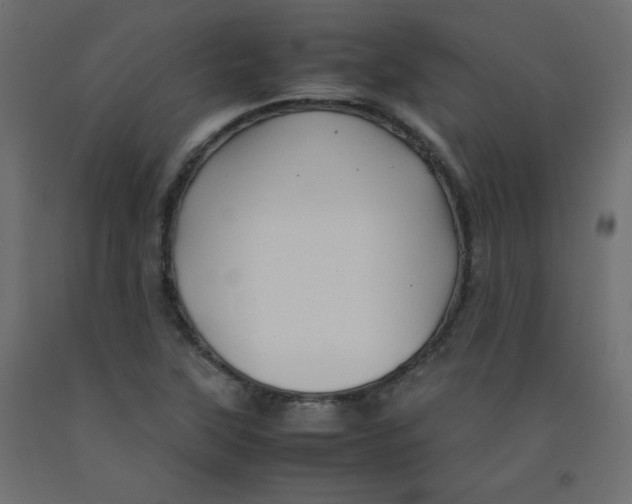 X0000092281315200710121356