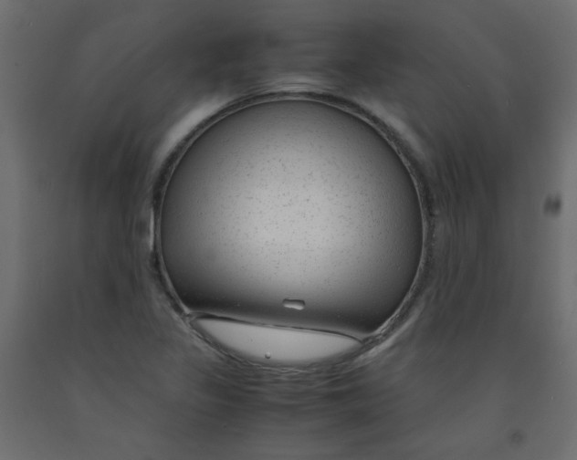 X0000092281317200710121356