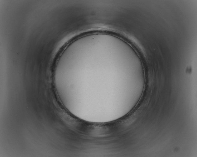 X0000092281318200710121356