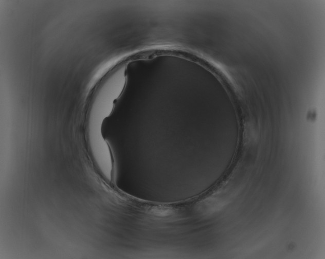 X0000092281319200710121356