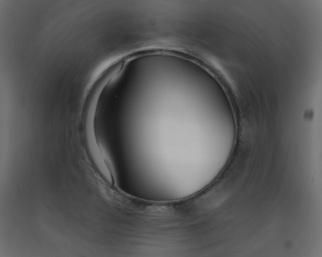 X0000092281320200710121356