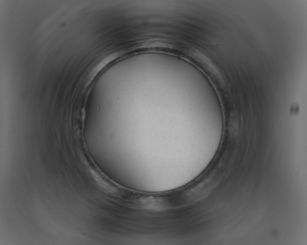 X0000092281321200710121356