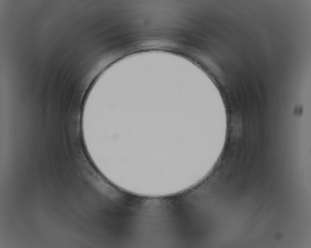 X0000092281322200710121356