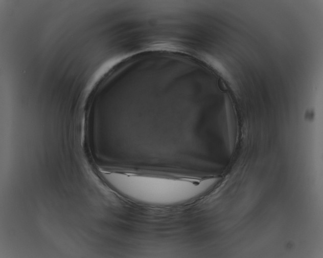 X0000092281323200710121356