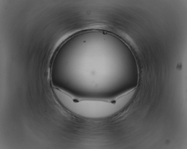 X0000092281324200710121356