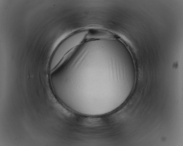 X0000092281325200710121356