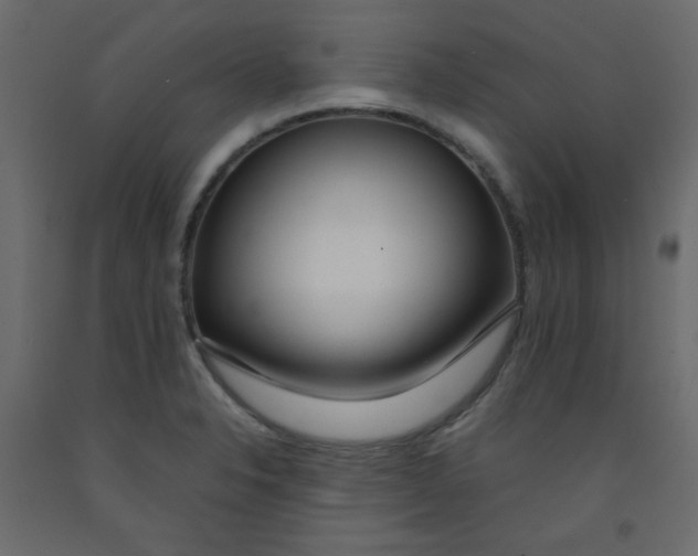 X0000092281326200710121356