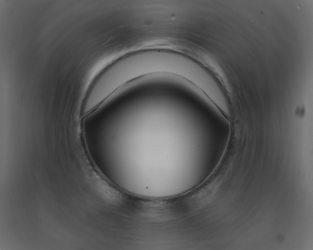 X0000092281328200710121356