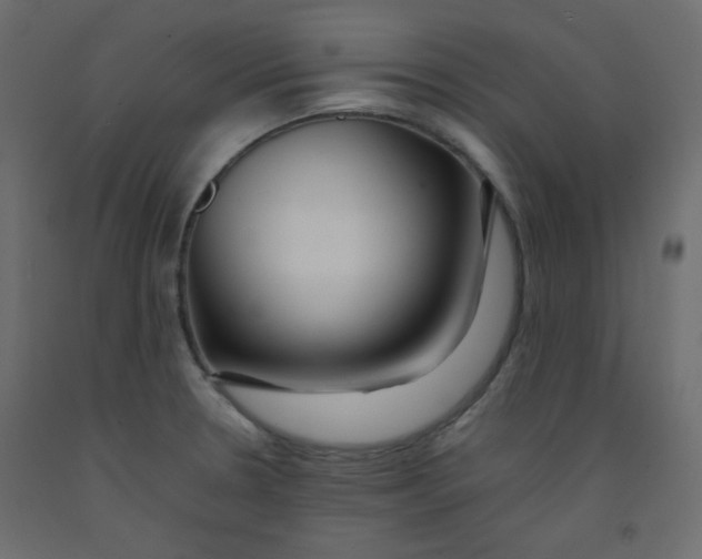 X0000092281330200710121356