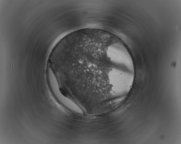 X0000092281331200710121356