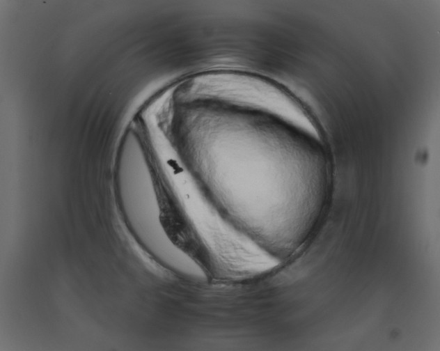 X0000092281333200710121356