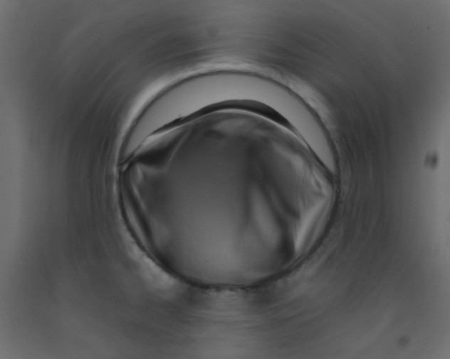 X0000092281334200710121356