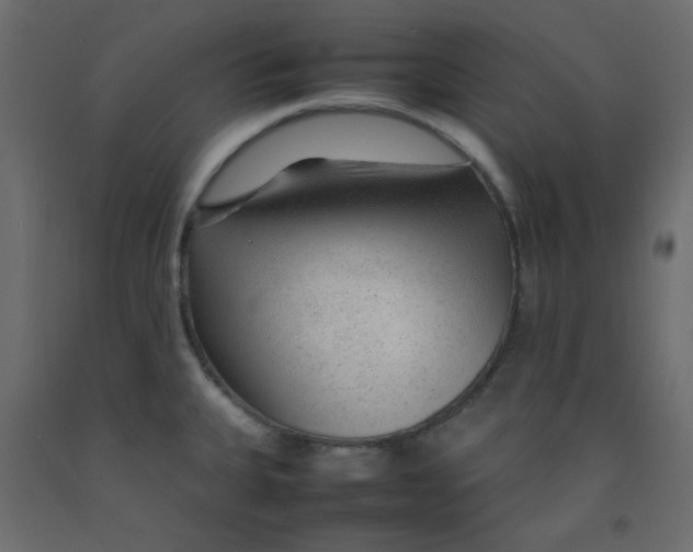 X0000092281335200710121356