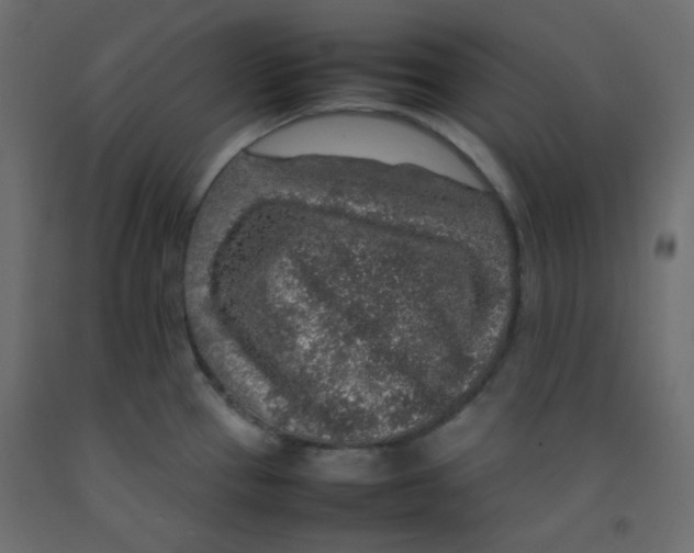 X0000092281337200710121356