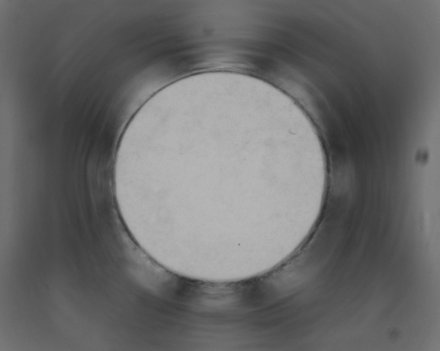 X0000092281338200710121356