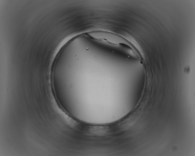 X0000092281339200710121356