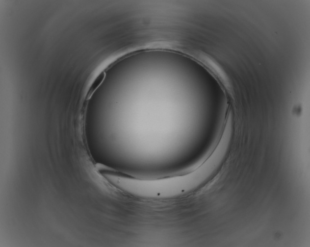 X0000092281340200710121356