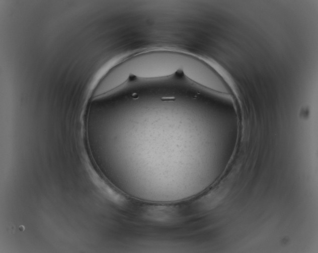 X0000092281341200710121356