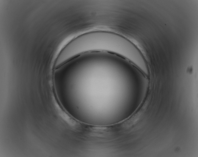 X0000092281342200710121356