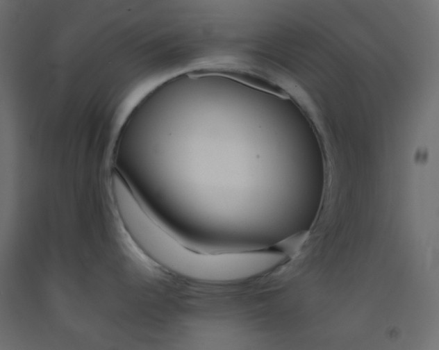 X0000092281344200710121356