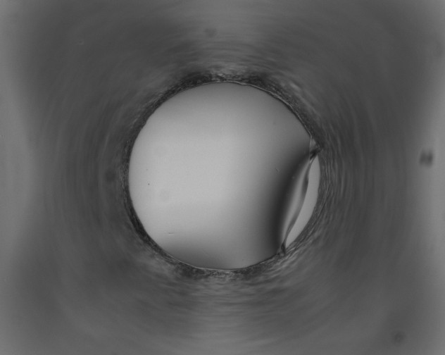 X0000092281345200710121356