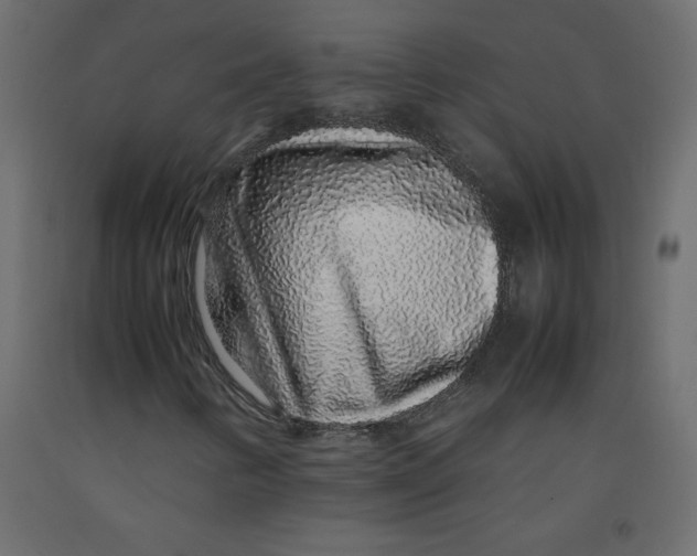 X0000092281346200710121355