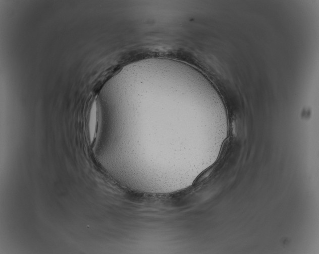 X0000092281347200710121355