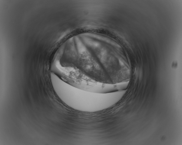 X0000092281348200710121355