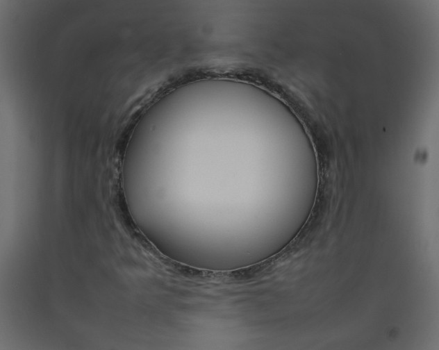 X0000092281349200710121355