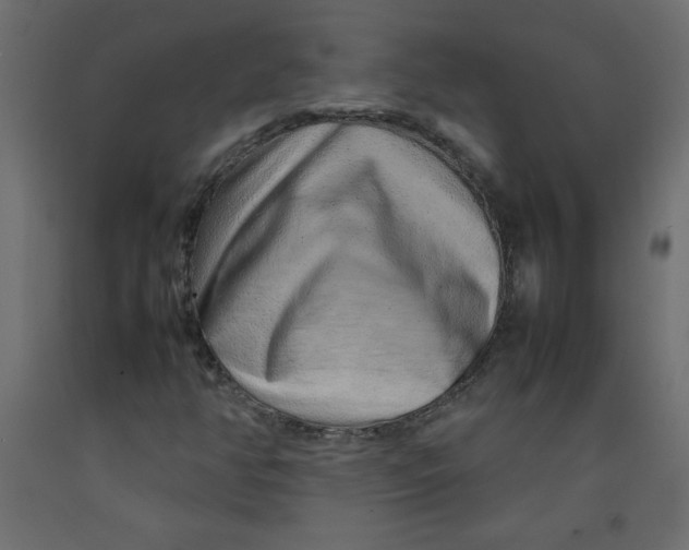X0000092281350200710121355